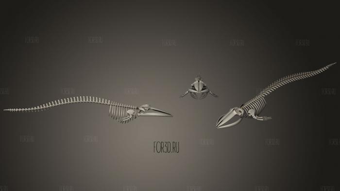 Fin Whale Skeleton stl model for CNC